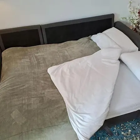 Arquitecto D Valencia